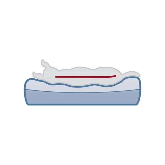 Trixie Vital Ligmat Bendson Orthopedisch Lichtgrijs 80X55X6 CM