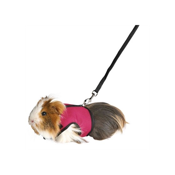Trixie Softtuig Met Riem Cavia Assorti 18-25 CM / 120 CM 4 ST