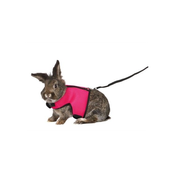 Trixie Softtuig Met Riem Grote Konijnen Assorti 25-40 CM / 120 CM 4 ST