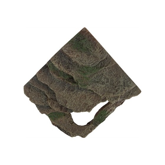Trixie Reptiland Hoekrots Regenwoud Met Schuilplaats En Platform 16X15X12 CM