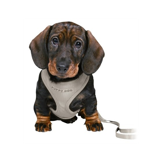 Trixie Junior Puppytuig Soft Met Riem Lichtgrijs 26-34X1 CM  / 2 MTR