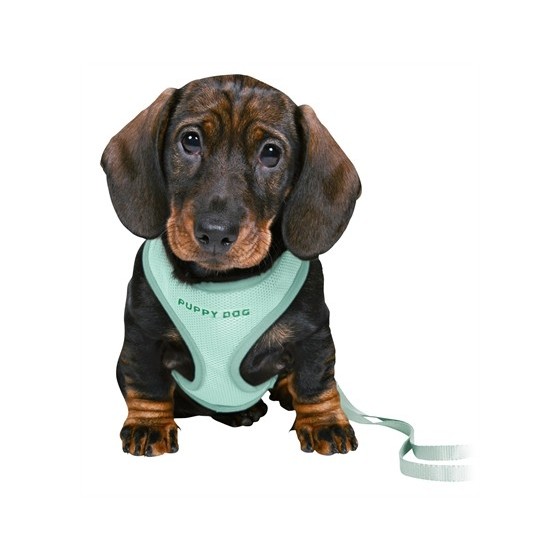 Trixie Junior Puppytuig Soft Met Riem Mintgroen 26-34X1 CM  / 2 MTR