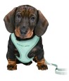 Trixie Junior Puppytuig Soft Met Riem Mintgroen 26-34X1 CM  / 2 MTR