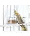 Imac Voerbak Parrot 11,5X7X4,5 CM
