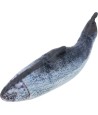 Trixie Spartel Vis Met Catnip Van Stof 30 CM