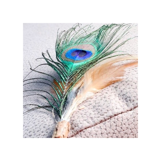 Croci Euphoria Kattenhengel Matatabi Pauwenveer 12 CM