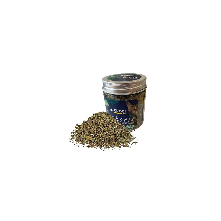 Croci Euphoria Catnip Pot 25 GR