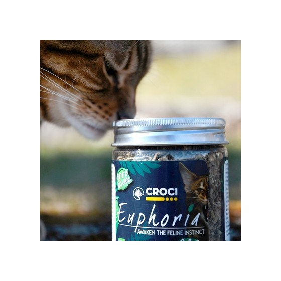 Croci Euphoria Catnip Pot 25 GR
