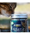 Croci Euphoria Catnip Pot 25 GR