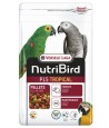 Nutribird - P15 Tropical Onderhoudsvoeder 1kg
