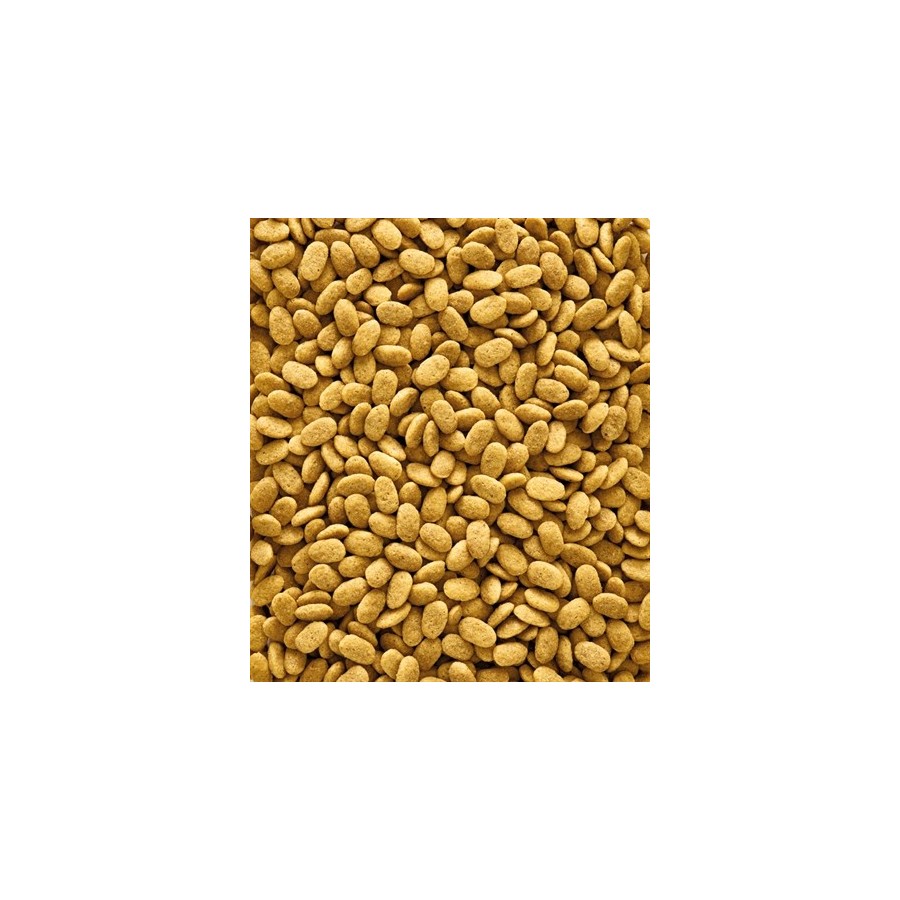 Nutribird - P15 Original Onderhoudsvoeder 3kg