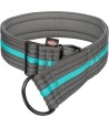 Trixie Halsband Hond Fusion Half-Slip Grafiet Grijs / Oceaan Blauw 38-48X4,5 CM