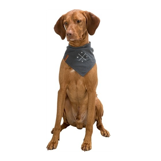 Trixie Bandana Be Nordic Windroos Grijs 40 CM
