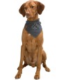 Trixie Bandana Be Nordic Windroos Grijs 40 CM