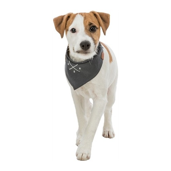 Trixie Bandana Be Nordic Windroos Grijs 30 CM