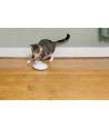 Petsafe Zip