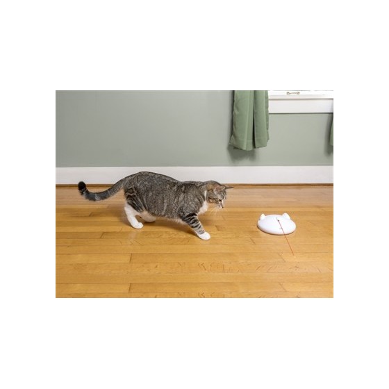 Petsafe Zip