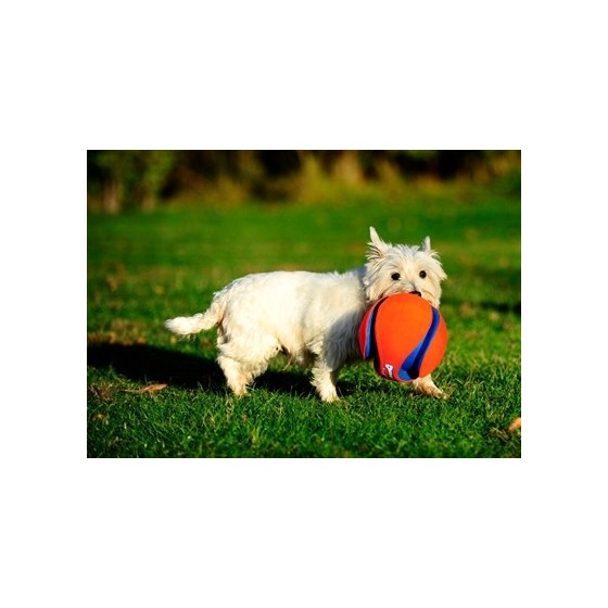 Chuckit Kick Fetch SMALL 12,5 CM