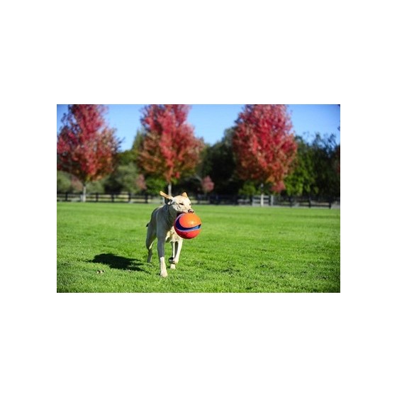 Chuckit Kick Fetch SMALL 12,5 CM