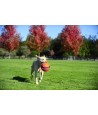 Chuckit Kick Fetch SMALL 12,5 CM