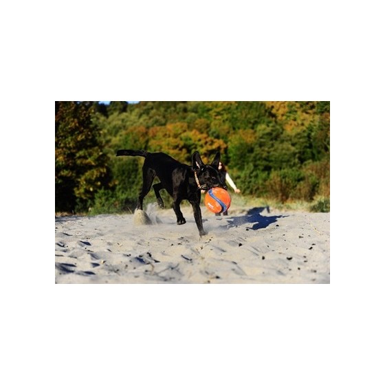 Chuckit Kick Fetch SMALL 12,5 CM