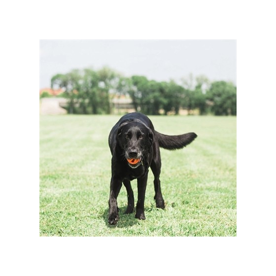 Chuckit Breathe Right Fetch Bal Oranje MEDIUM 2 ST