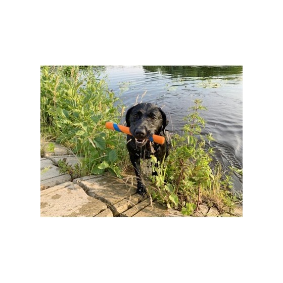 Chuckit Ultra Fetch Stick