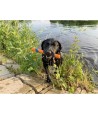 Chuckit Ultra Fetch Stick