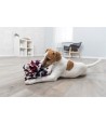 Trixie Dog Activity Snuffelbal 15X15X15 CM