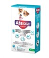Krka Ataxxa Spot On Hond 4-10 KG 500 MG/100 MG 3 PIP