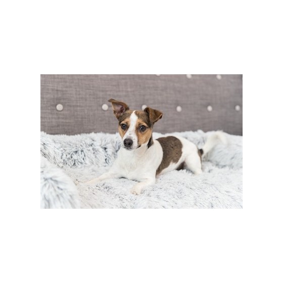 Trixie Sofa Bed Harvey Meubelbeschermer Hoekig Wit / Zwart 80X130 CM