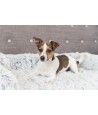 Trixie Sofa Bed Harvey Meubelbeschermer Hoekig Wit / Zwart 80X130 CM