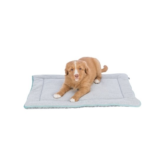 Trixie Junior Ligmat Lichtgrijs / Mintgroen 70X50X2,5 CM