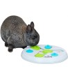 Trixie Slide&Funboard Kunststof 23X23 CM
