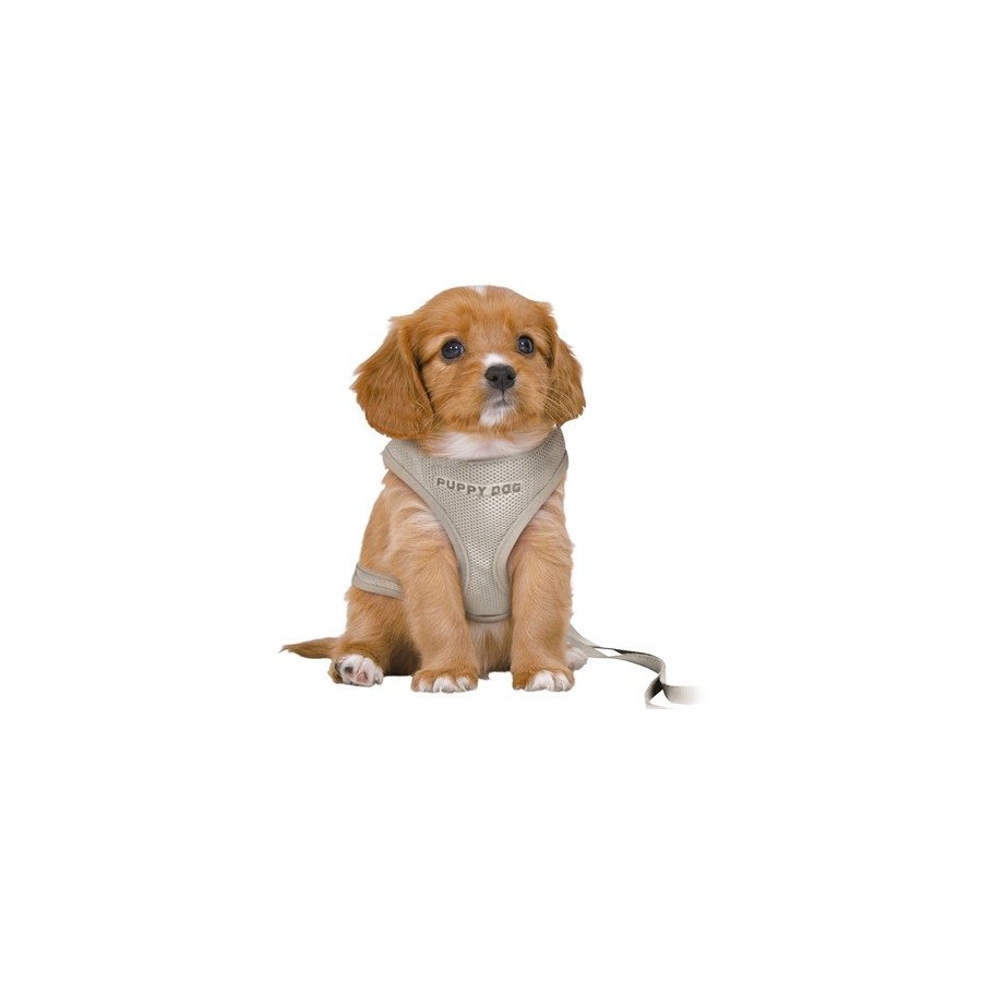 Trixie Hondentuig Junior Puppy Softtuig Met Riem Lichtgrijs 36-50X1 CM / 2 MTR