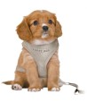 Trixie Hondentuig Junior Puppy Softtuig Met Riem Lichtgrijs 36-50X1 CM / 2 MTR
