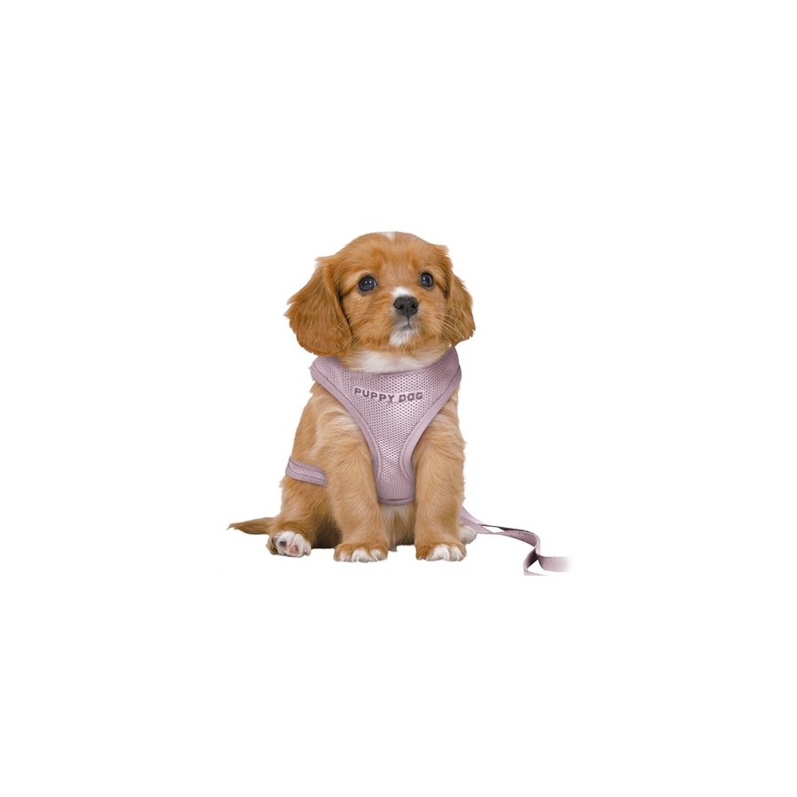 Trixie Hondentuig Junior Puppy Softtuig Met Riem Lila 36-50X1 CM / 2 MTR