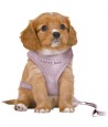 Trixie Hondentuig Junior Puppy Softtuig Met Riem Lila 36-50X1 CM / 2 MTR