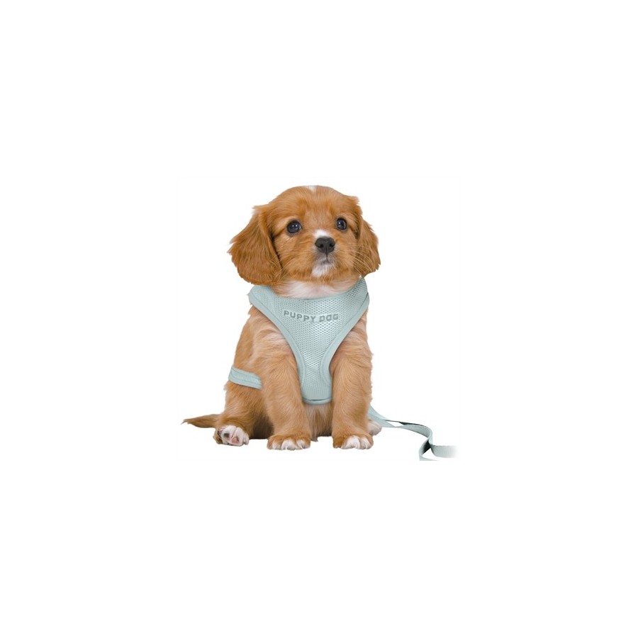Trixie Hondentuig Junior Puppy Softtuig Met Riem Mintgroen 36-50X1 CM / 2 MTR