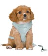 Trixie Hondentuig Junior Puppy Softtuig Met Riem Mintgroen 36-50X1 CM / 2 MTR