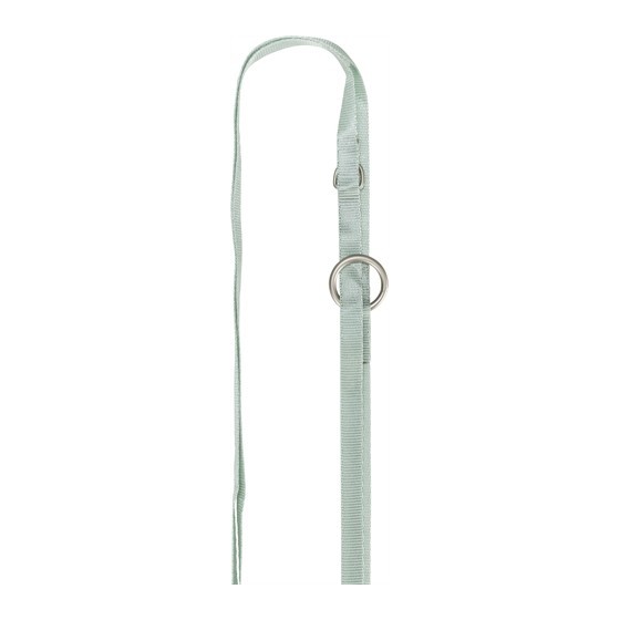 Trixie Hondentuig Junior Puppy Softtuig Met Riem Mintgroen 36-50X1 CM / 2 MTR