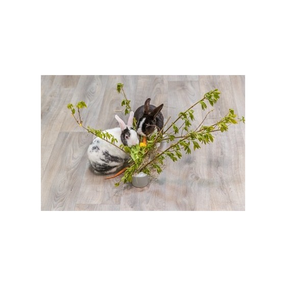 Trixie Voederruif Keramiek / Hout Grijs 26X17X23 CM