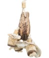 Trixie - Natuurspeelgoed Mahonie/Schelpen. 26cm