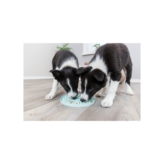 Trixie Junior Likplaat Mintgroen 21X21 CM