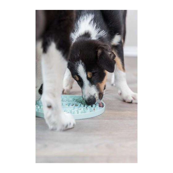 Trixie Junior Likplaat Mintgroen 21X21 CM