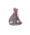 Petsnack Varkensschouderblad 10 ST