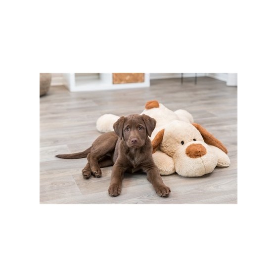 Trixie Knuffel Hondbenny Pluche Beige / Bruin 75 CM
