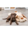 Trixie Knuffel Hondbenny Pluche Beige / Bruin 75 CM