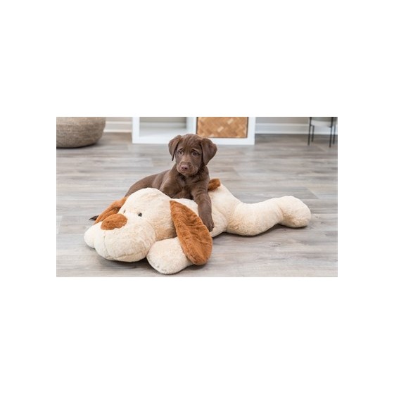 Trixie Knuffel Hondbenny Pluche Beige / Bruin 75 CM