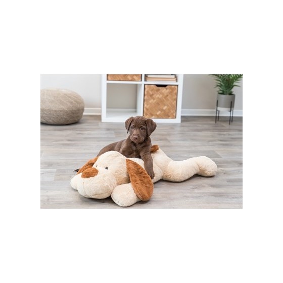 Trixie Knuffel Hondbenny Pluche Beige / Bruin 75 CM